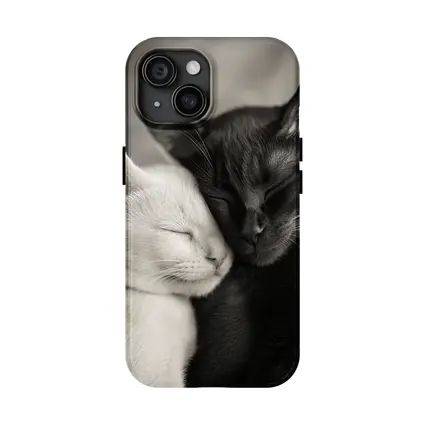 Black And White Cats Cuddling Together
