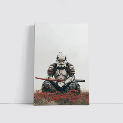 Samurai Stormtrooper Sitting Red Autumn Field