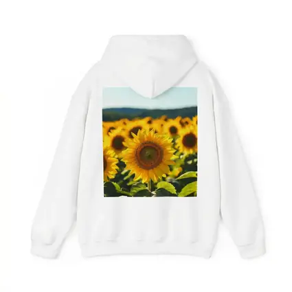 Sunflower Field Blue Sky Summer Day