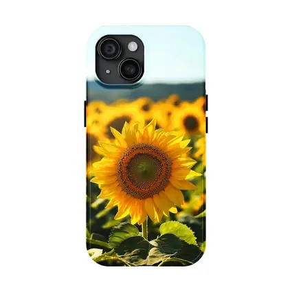 Sunflower Field Blue Sky Summer Day