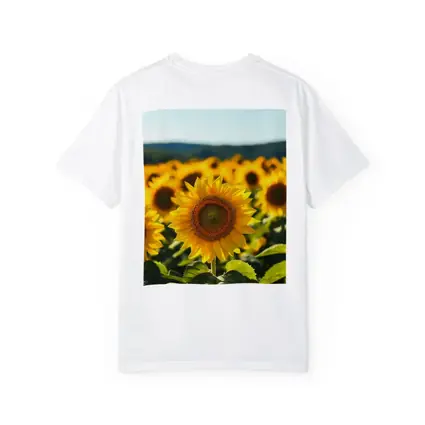 Sunflower Field Blue Sky Summer Day