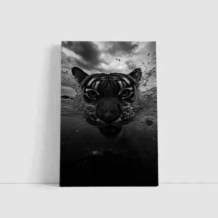 Black White Tiger Swimming Dark Water