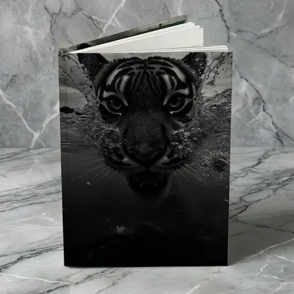 Black White Tiger Swimming Dark Water