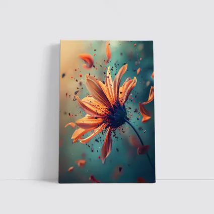 Orange Daisy Exploding Petals Teal Background