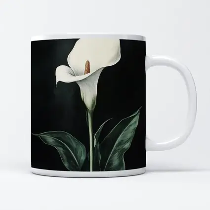 Calla Lily White Flower Dark Black Background
