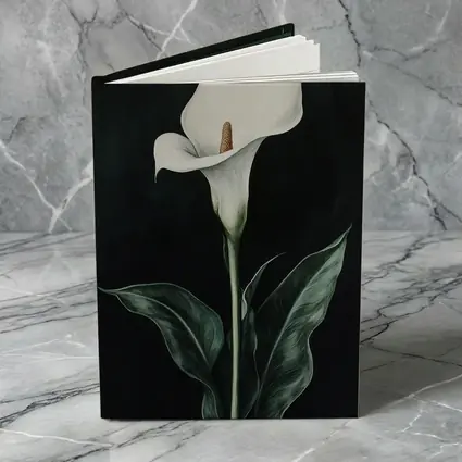 Calla Lily White Flower Dark Black Background