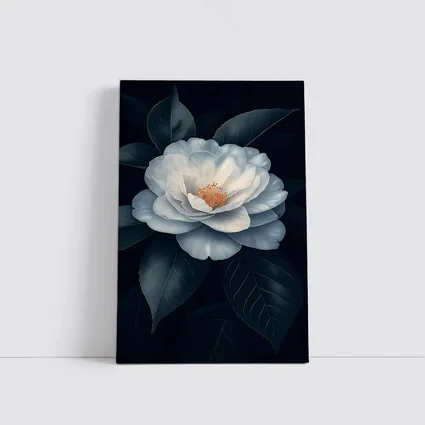 White Camellia Flower Dark Background Botanical Art