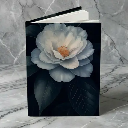 White Camellia Flower Dark Background Botanical Art