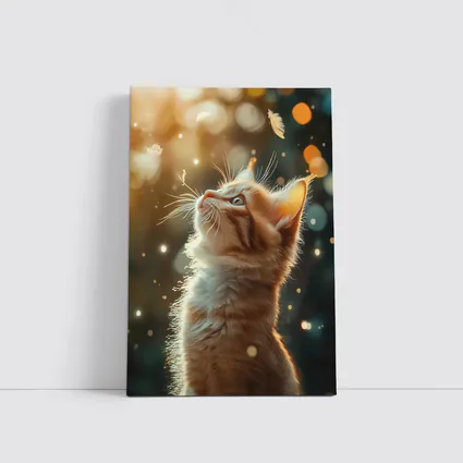 Ginger Kitten Looking Up Bokeh Lights