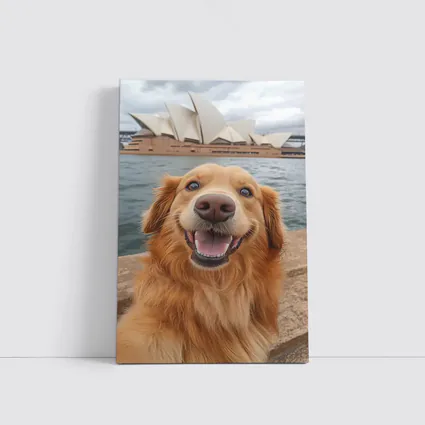 Golden Retriever Dog Sydney Opera House