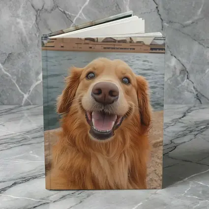 Golden Retriever Dog Sydney Opera House