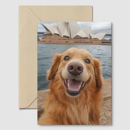 Golden Retriever Dog Sydney Opera House