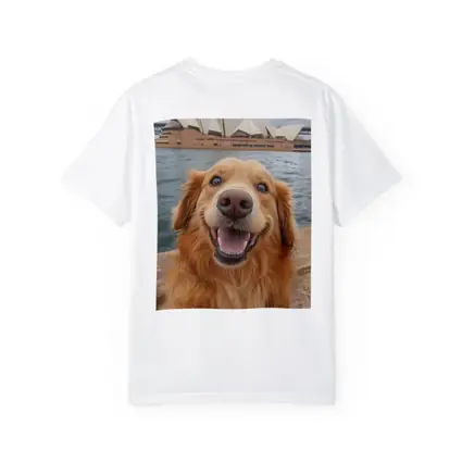 Golden Retriever Dog Sydney Opera House