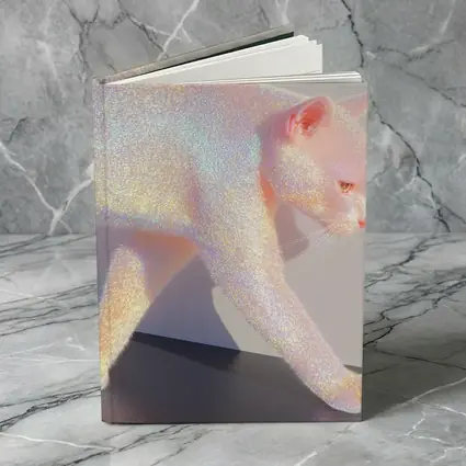 Holographic Glitter Cat Walking Iridescent Light