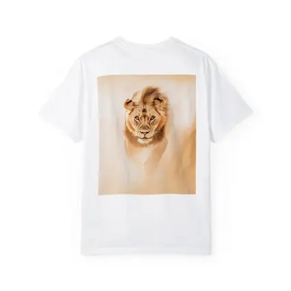 Lion Walking Forward Warm Sandy Background