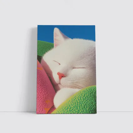 Sleeping White Cat Colorful Blankets Blue Sky