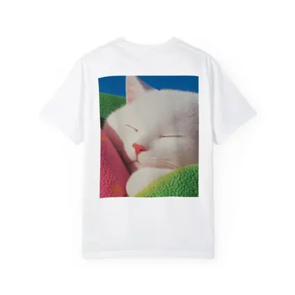 Sleeping White Cat Colorful Blankets Blue Sky