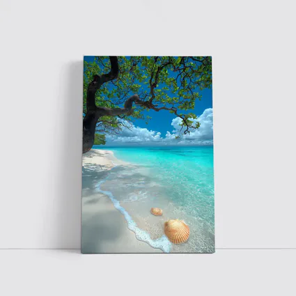 Tropical Beach Seashells Clear Turquoise Water Tree