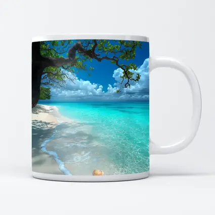 Tropical Beach Seashells Clear Turquoise Water Tree
