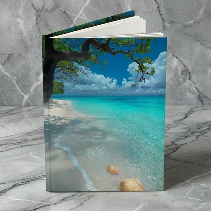Tropical Beach Seashells Clear Turquoise Water Tree