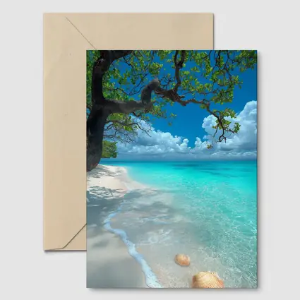 Tropical Beach Seashells Clear Turquoise Water Tree