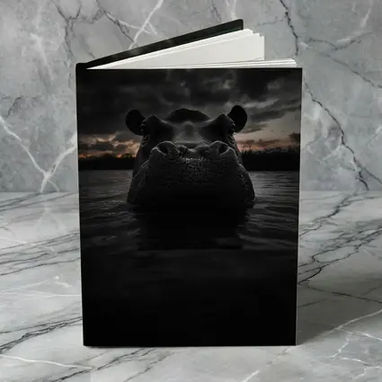 Hippo Rising From Dark Stormy Water
