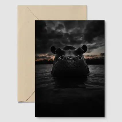Hippo Rising From Dark Stormy Water
