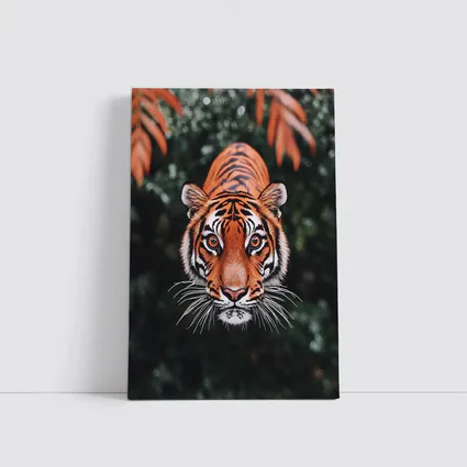 Bengal Tiger Face Green Jungle Foliage