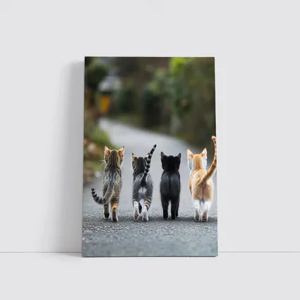 Four Kittens Walking Down Street Together