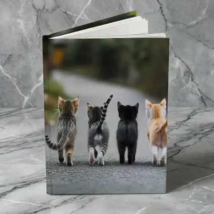 Four Kittens Walking Down Street Together