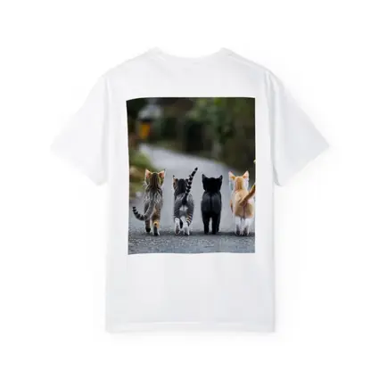 Four Kittens Walking Down Street Together