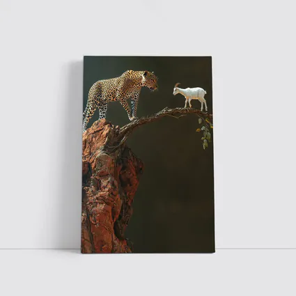 Leopard And Goat Facing On Rocky Branch
