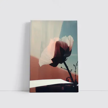 Poppy Flower Soft Blue Sky Background