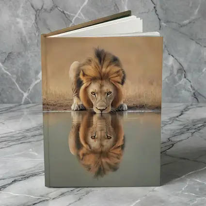 Male Lion Drinking Water Reflection African Savanna