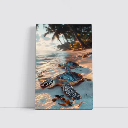 Sea Turtles Resting On Tropical Sandy Beach