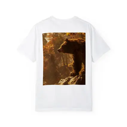 Brown Bear Standing On Rock Autumn Forest
