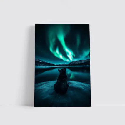 Wolf Watching Northern Lights Over Lake