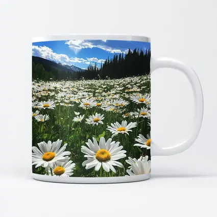 White Daisies Field Mountain Forest Sky
