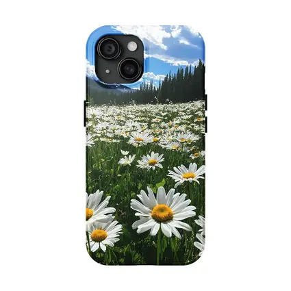 White Daisies Field Mountain Forest Sky