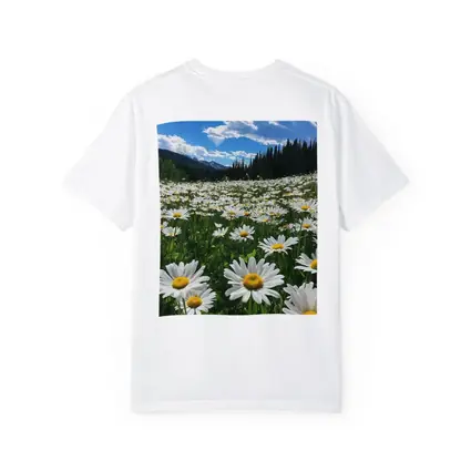 White Daisies Field Mountain Forest Sky