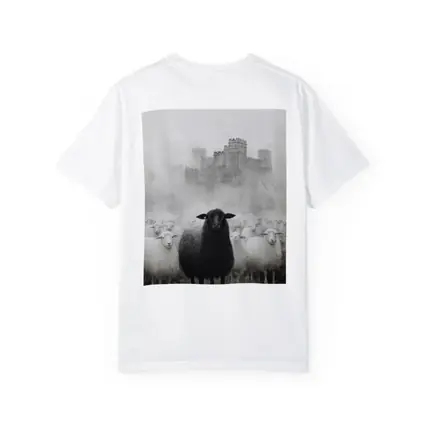 Black Sheep Flock Misty Castle Background