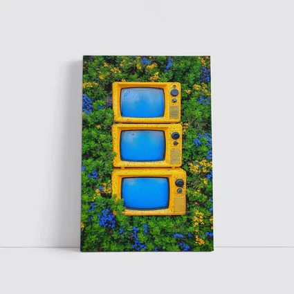 Yellow Retro TVs Stacked Among Wildflowers
