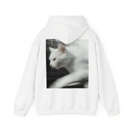White Cat Resting By Window Light