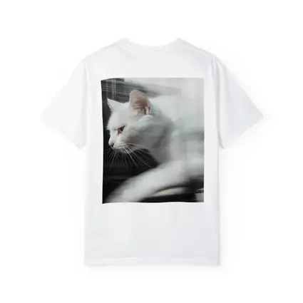 White Cat Resting By Window Light