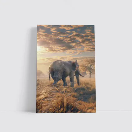 African Elephant Walking Through Golden Savanna