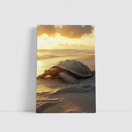 Sea Turtle Crawling on Sandy Beach Sunset