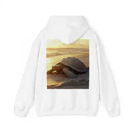 Sea Turtle Crawling on Sandy Beach Sunset