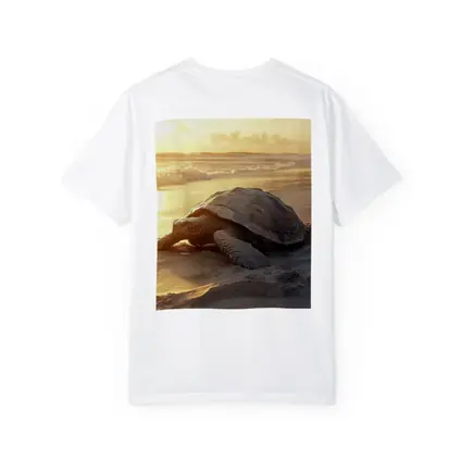 Sea Turtle Crawling on Sandy Beach Sunset