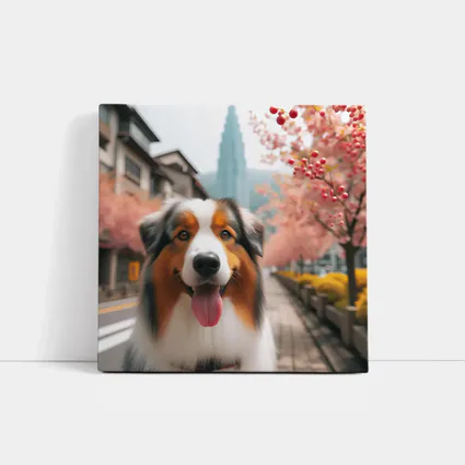 Australian Shepherd Dog Cherry Blossom Street