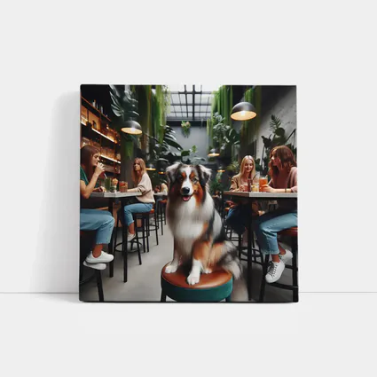 Australian Shepherd Dog Sitting Inside Cafe